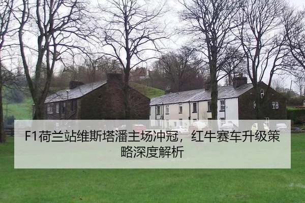 he-lan-zhan-wei-si-ta-pan-zhu-chang-chong-guan-hong-niu-sai-che-sheng-ji-ce-lve-shen-du-jie-xi-2-716.jpg