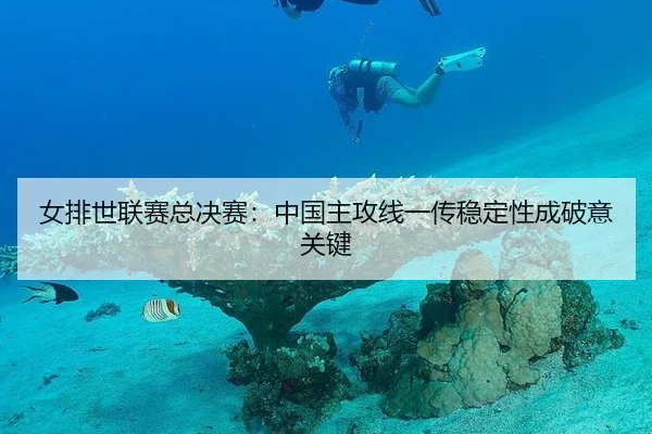 女排世联赛总决赛：中国主攻线一传稳定性成破意关键